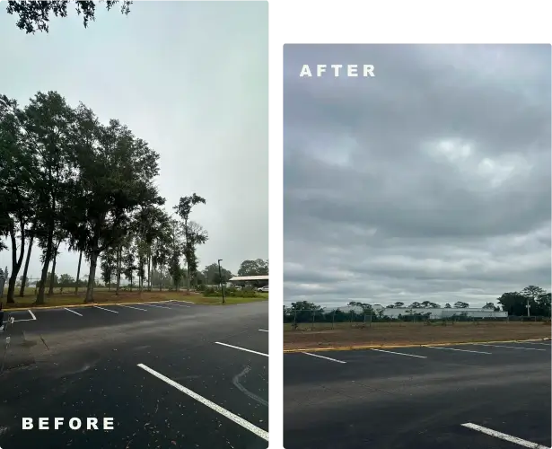 A side-by-side before and after comparison showing a row of tall trees next to an asphalt parking lot labeled "BEFORE," and the same view completely cleared of the trees labeled "AFTER" under a cloudy sky.
